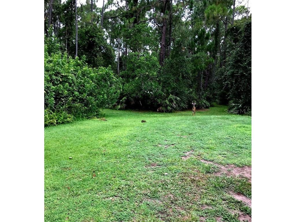 2380 Shepherd Avenue Saint Cloud FL 34771 O6329885 image10