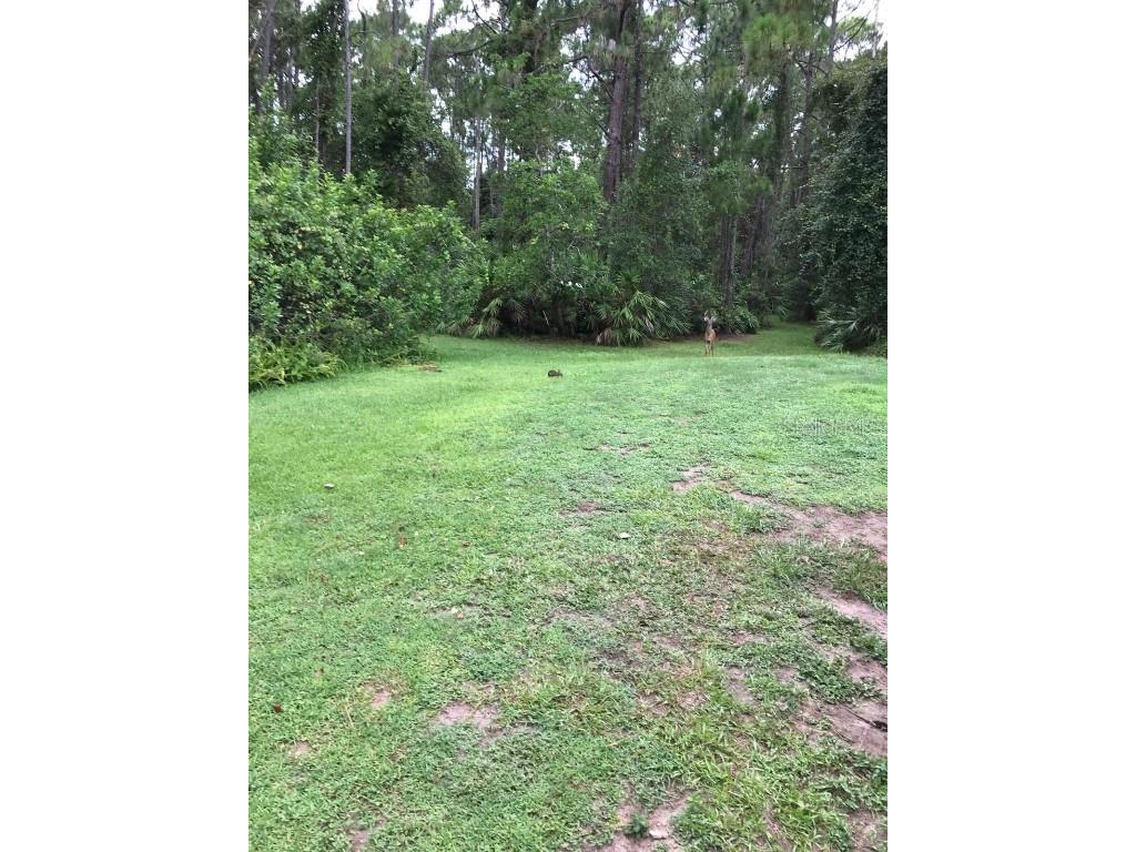 2380 Shepherd Avenue Saint Cloud FL 34771 O6329885 image11