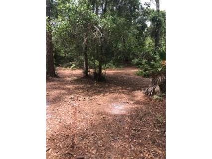 2380 Shepherd Avenue Saint Cloud FL 34771 O6329885 image15