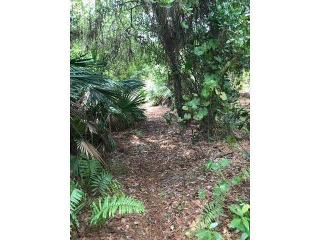 2380 Shepherd Avenue Saint Cloud FL 34771 O6329885 image16