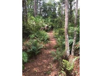 2380 Shepherd Avenue Saint Cloud FL 34771 O6329885 image17