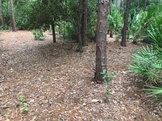 2380 Shepherd Avenue Saint Cloud FL 34771 O6329885 image18