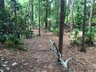 2380 Shepherd Avenue Saint Cloud FL 34771 O6329885 image19