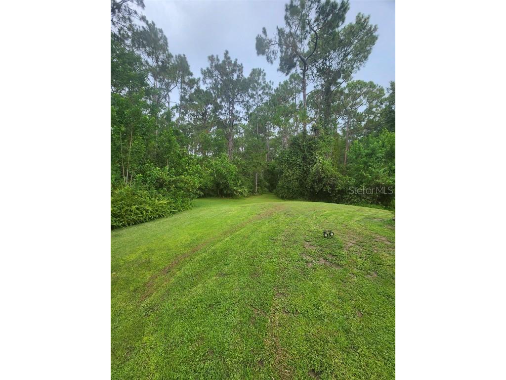 2380 Shepherd Avenue Saint Cloud FL 34771 O6329885 image4