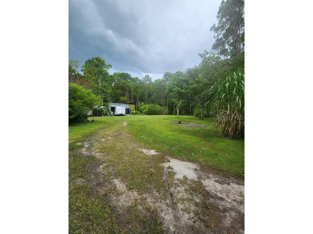 2380 Shepherd Avenue Saint Cloud FL 34771 O6329885 image5