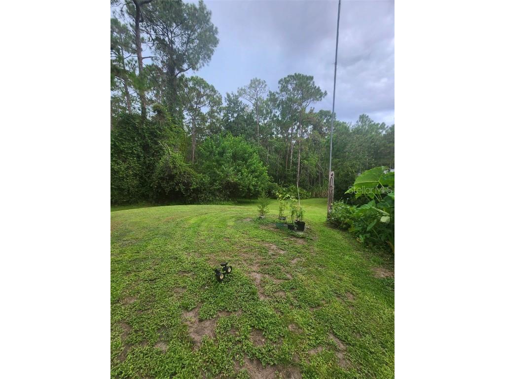 2380 Shepherd Avenue Saint Cloud FL 34771 O6329885 image6