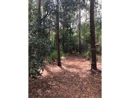 2380 Shepherd Avenue Saint Cloud FL 34771 O6342207 image20