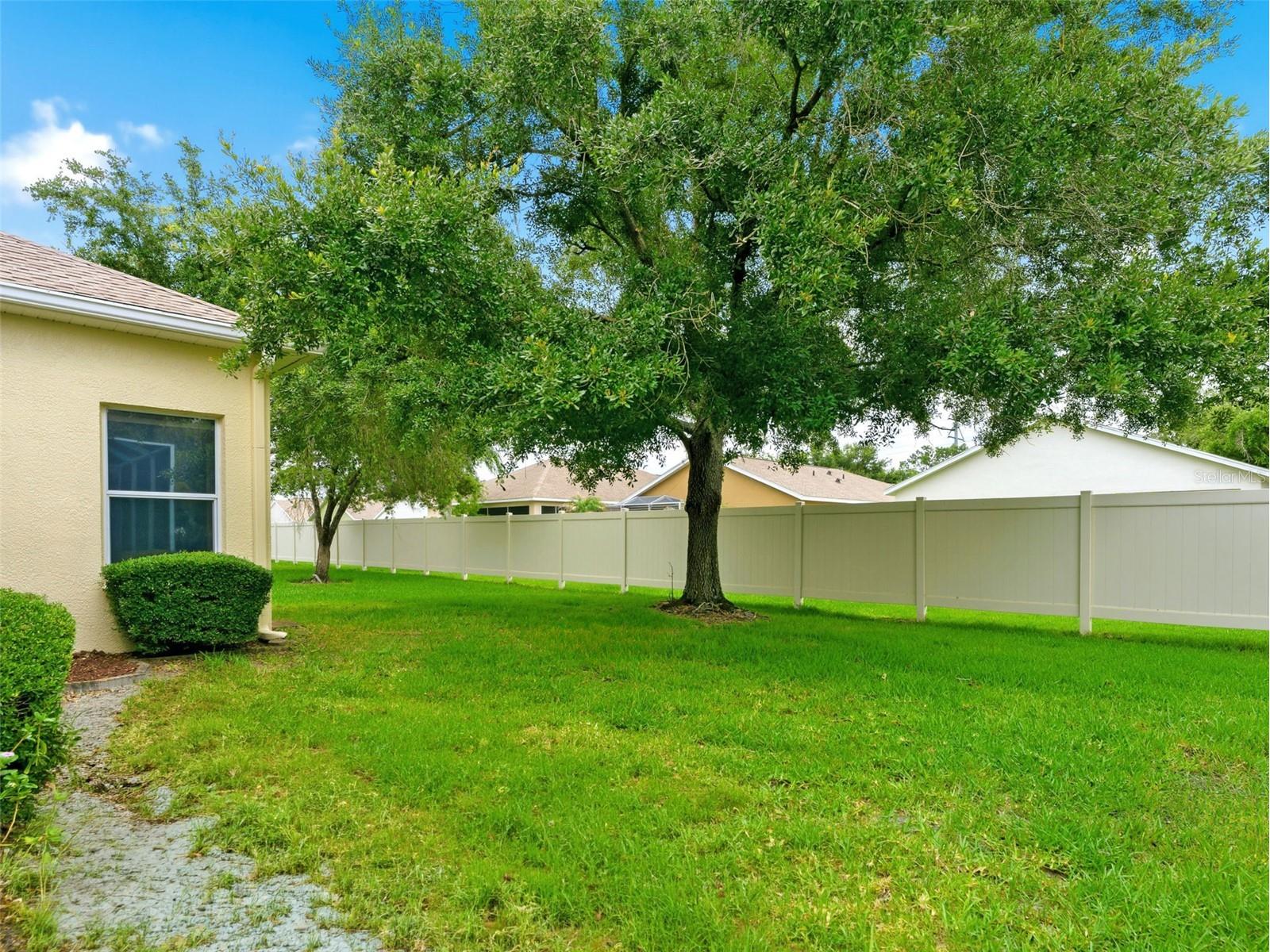 23802 Coral Ridge Lane Land O Lakes FL 34639 TB8518127 image21