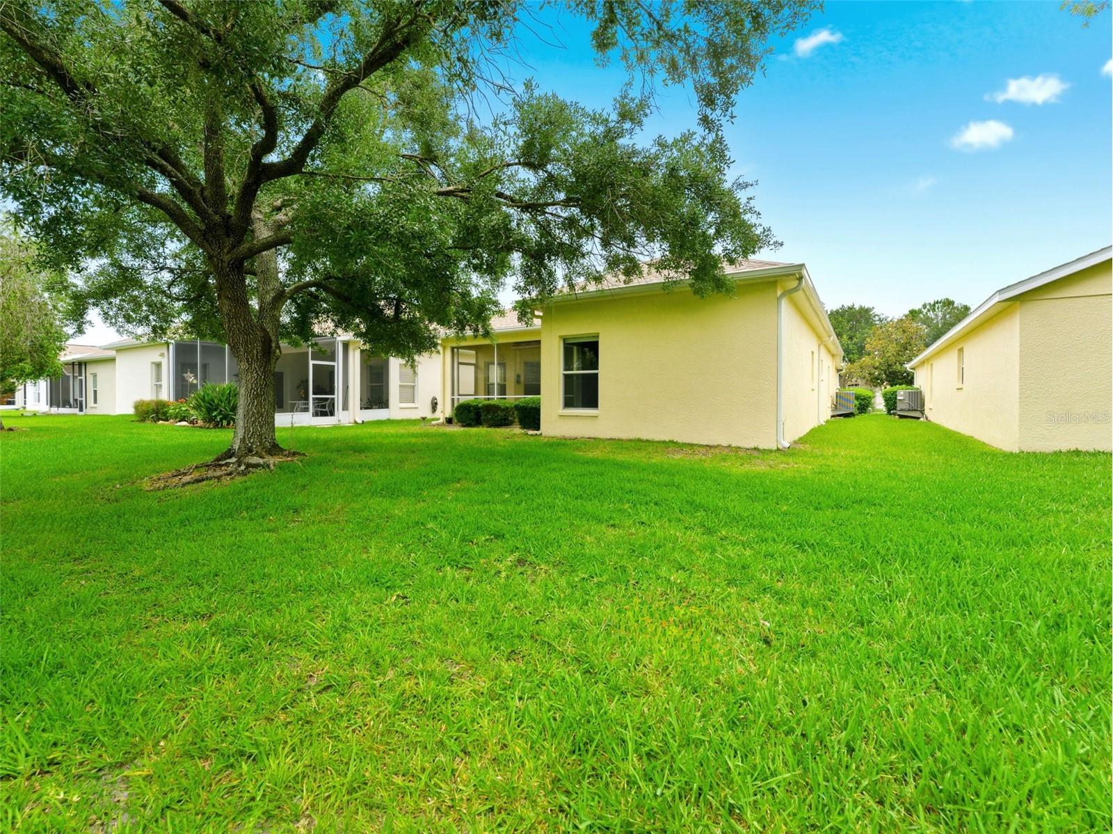 23802 Coral Ridge Lane Land O Lakes FL 34639 TB8518127 image22
