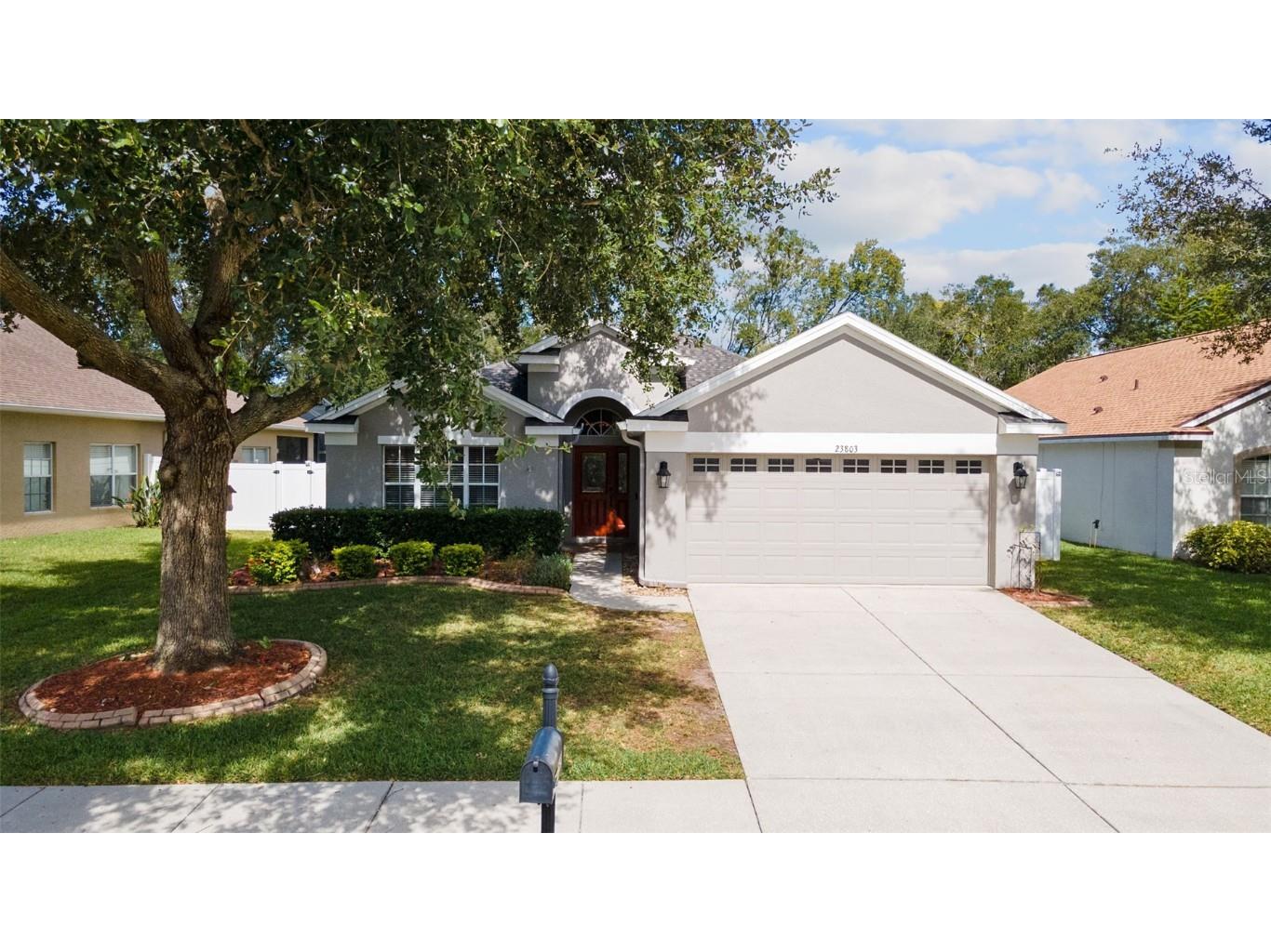 23803 Hastings Way Land O Lakes FL 34639 T3482595 image1