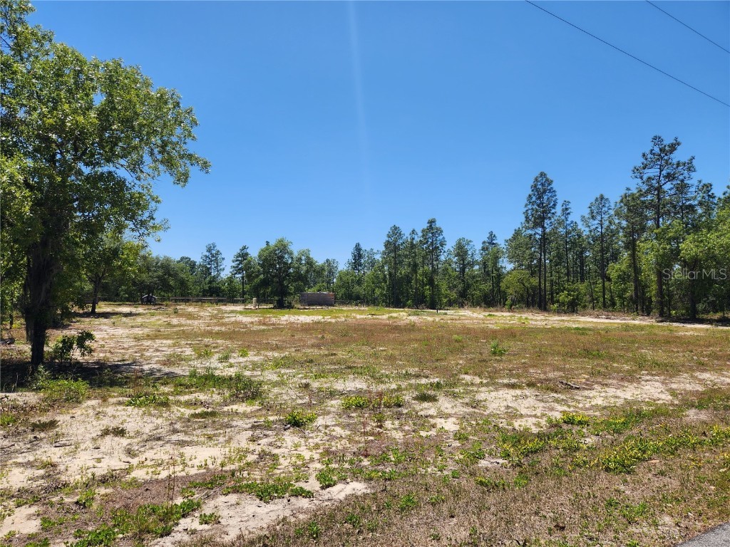 23808 SW Plaza Court Dunnellon FL 34431 OM656577 image1