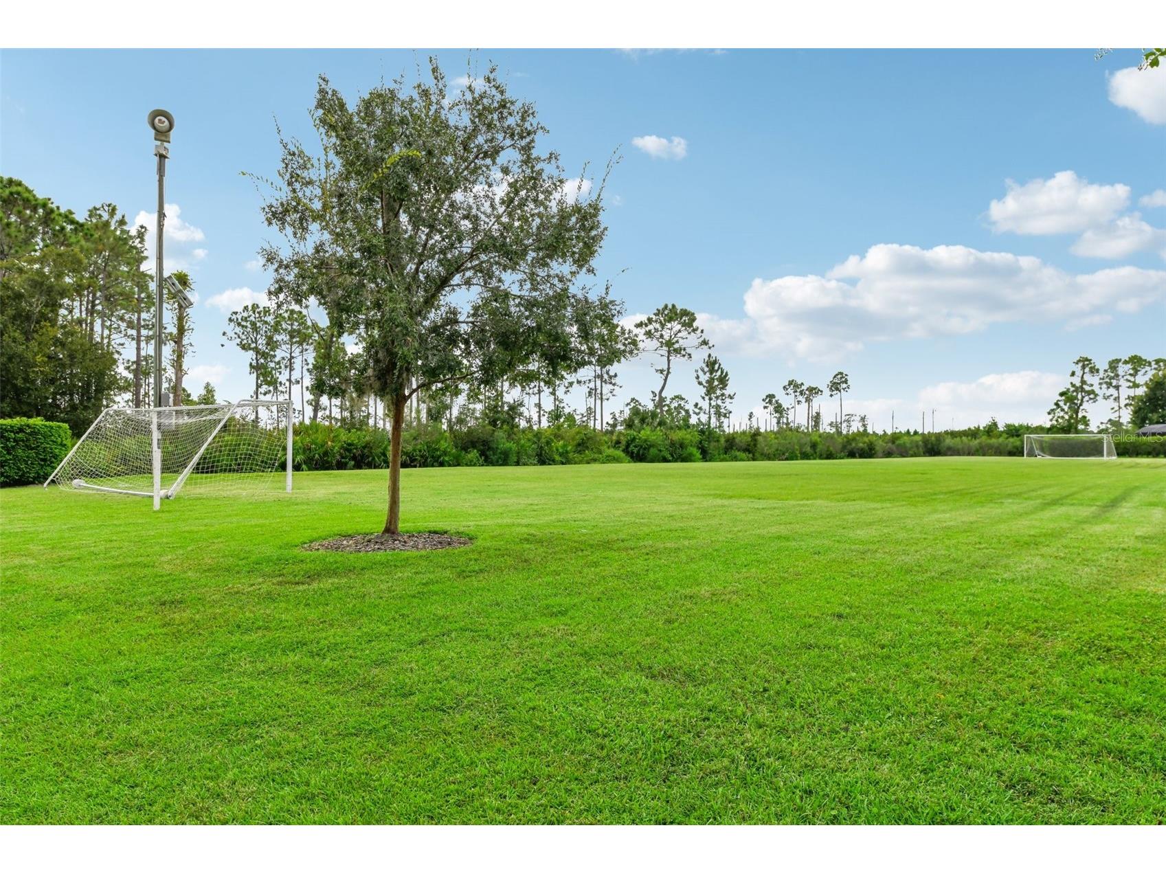 2381 Broken Elm Place Oviedo FL 32766 O6374637 image54