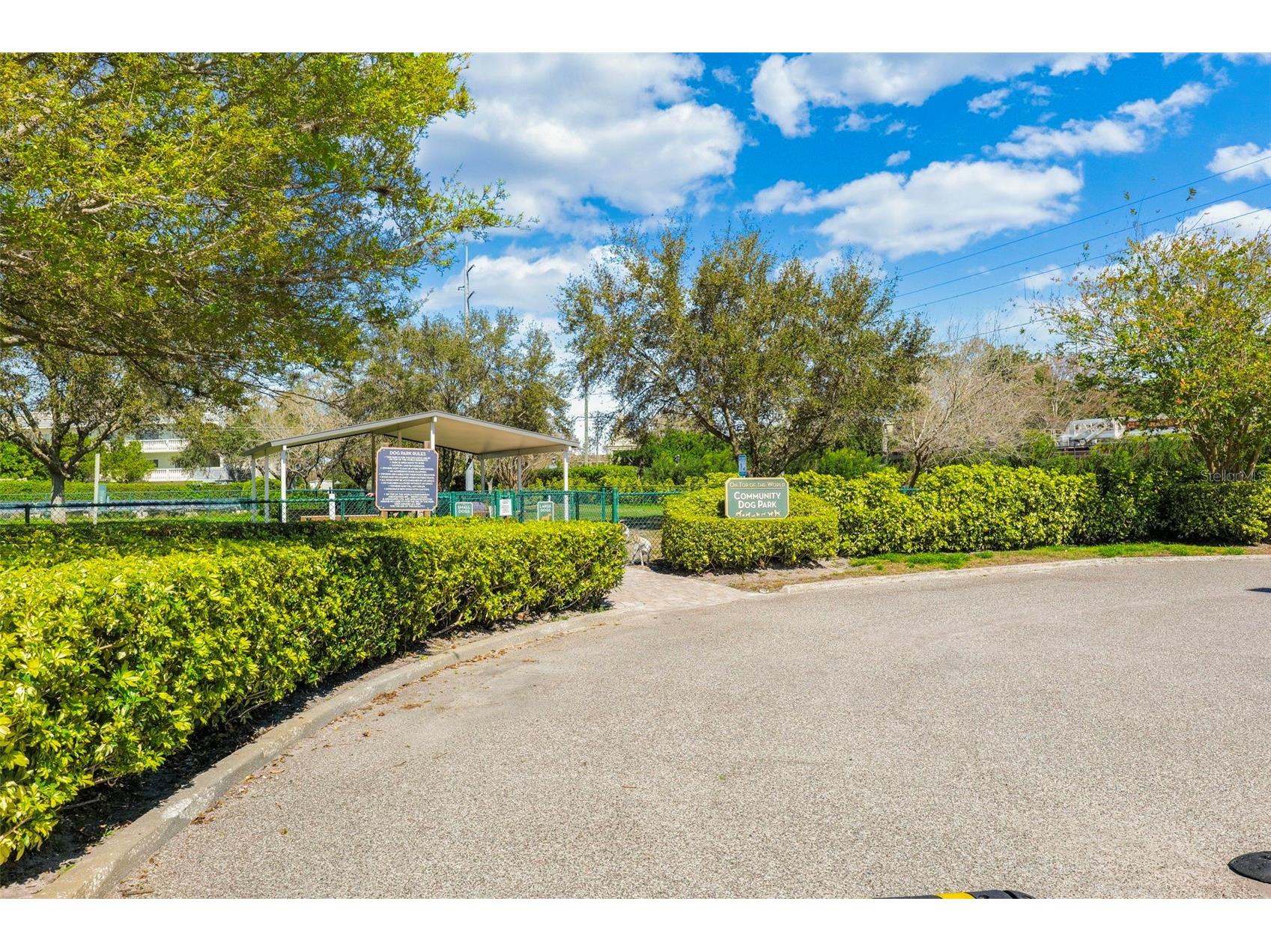 2381 Ecuadorian Way #45 Clearwater FL 33763 TB8506318 image30