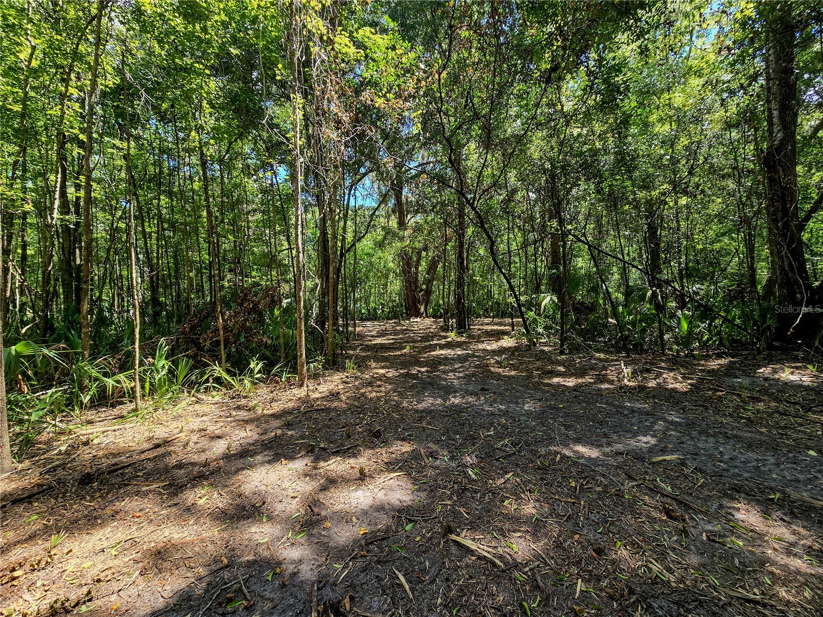 2381 N Jennifer Terrace Inverness FL 34453 OM724232 image10