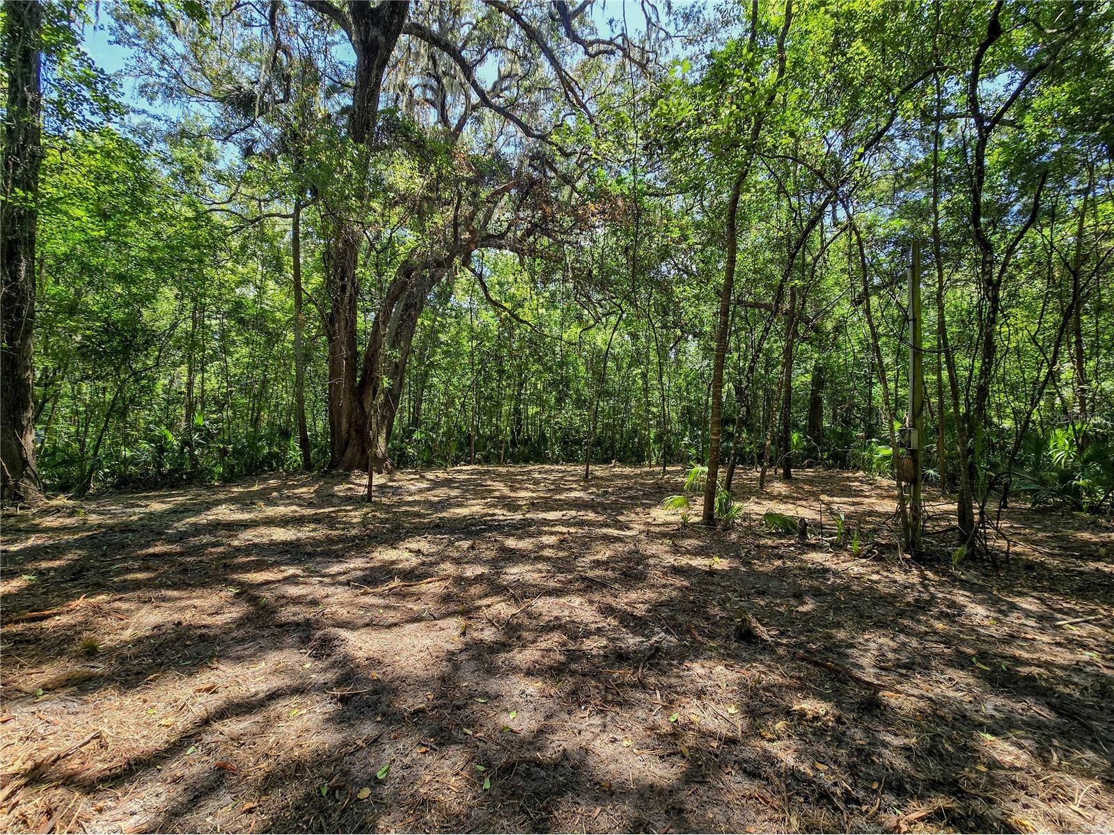 2381 N Jennifer Terrace Inverness FL 34453 OM724232 image11