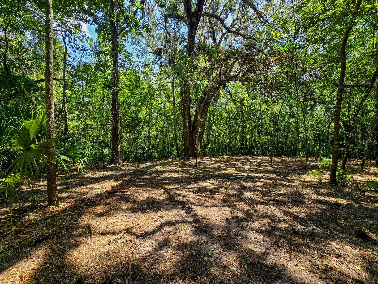 2381 N Jennifer Terrace Inverness FL 34453 OM724232 image14