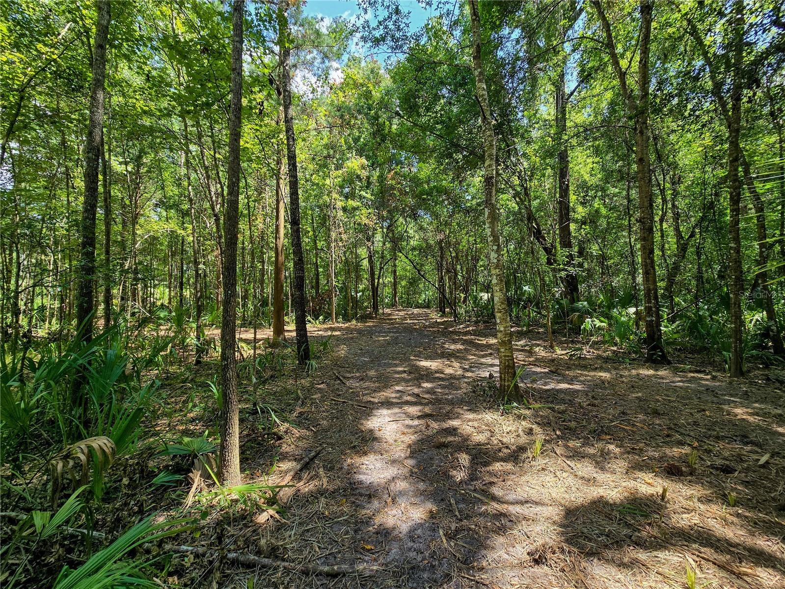 2381 N Jennifer Terrace Inverness FL 34453 OM724232 image15