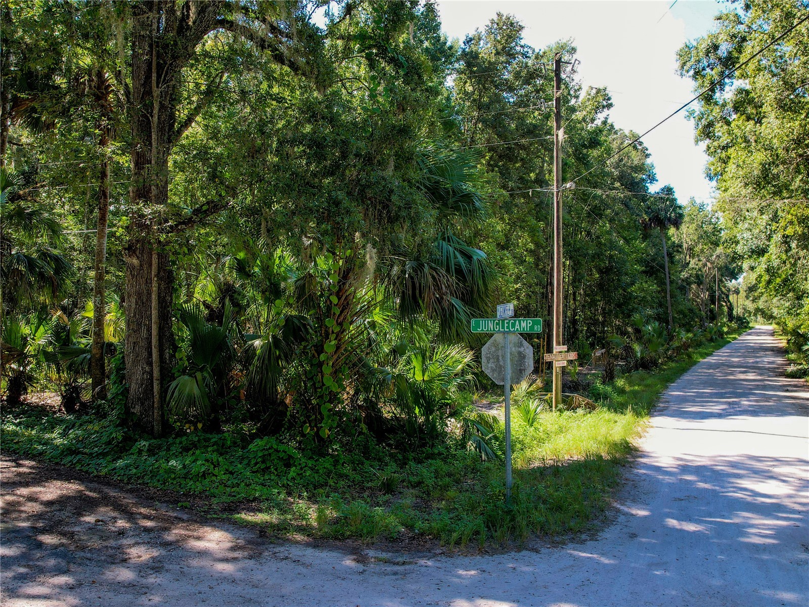 2381 N Jennifer Terrace Inverness FL 34453 OM724232 image2