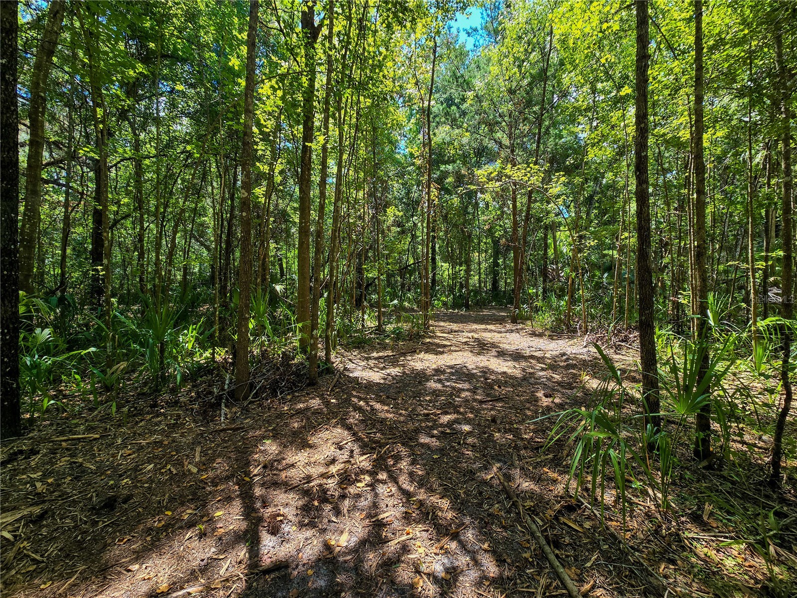 2381 N Jennifer Terrace Inverness FL 34453 OM724232 image4