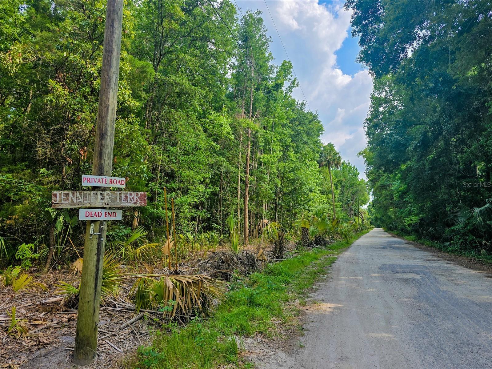 2381 N Jennifer Terrace Inverness FL 34453 OM724232 image5