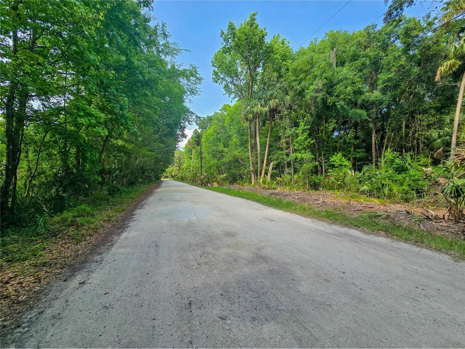 2381 N Jennifer Terrace Inverness FL 34453 OM724232 image6