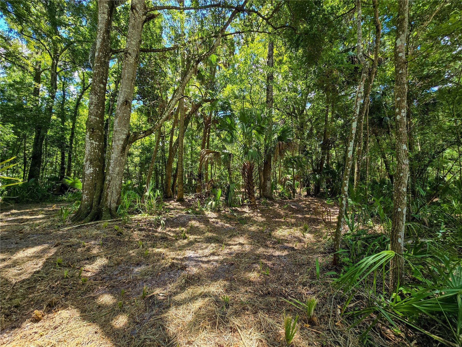2381 N Jennifer Terrace Inverness FL 34453 OM724232 image8