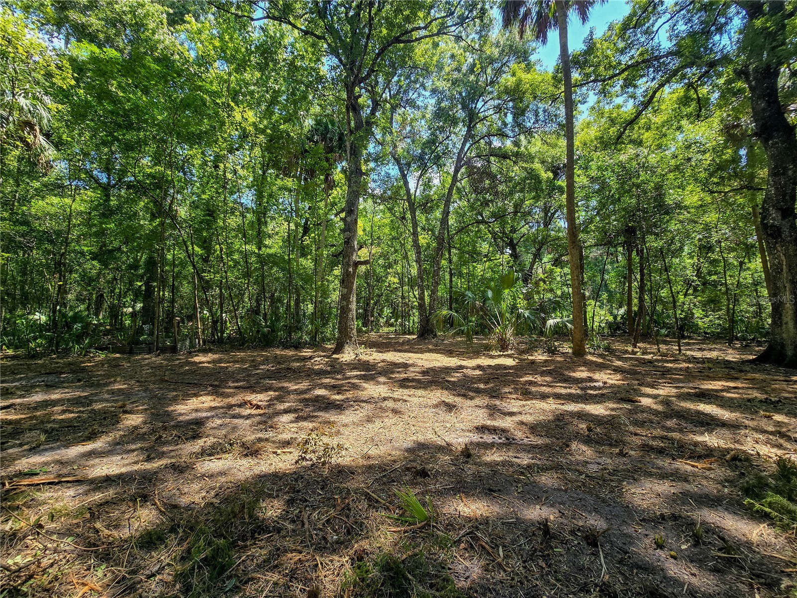 2381 N Jennifer Terrace Inverness FL 34453 OM724232 image9