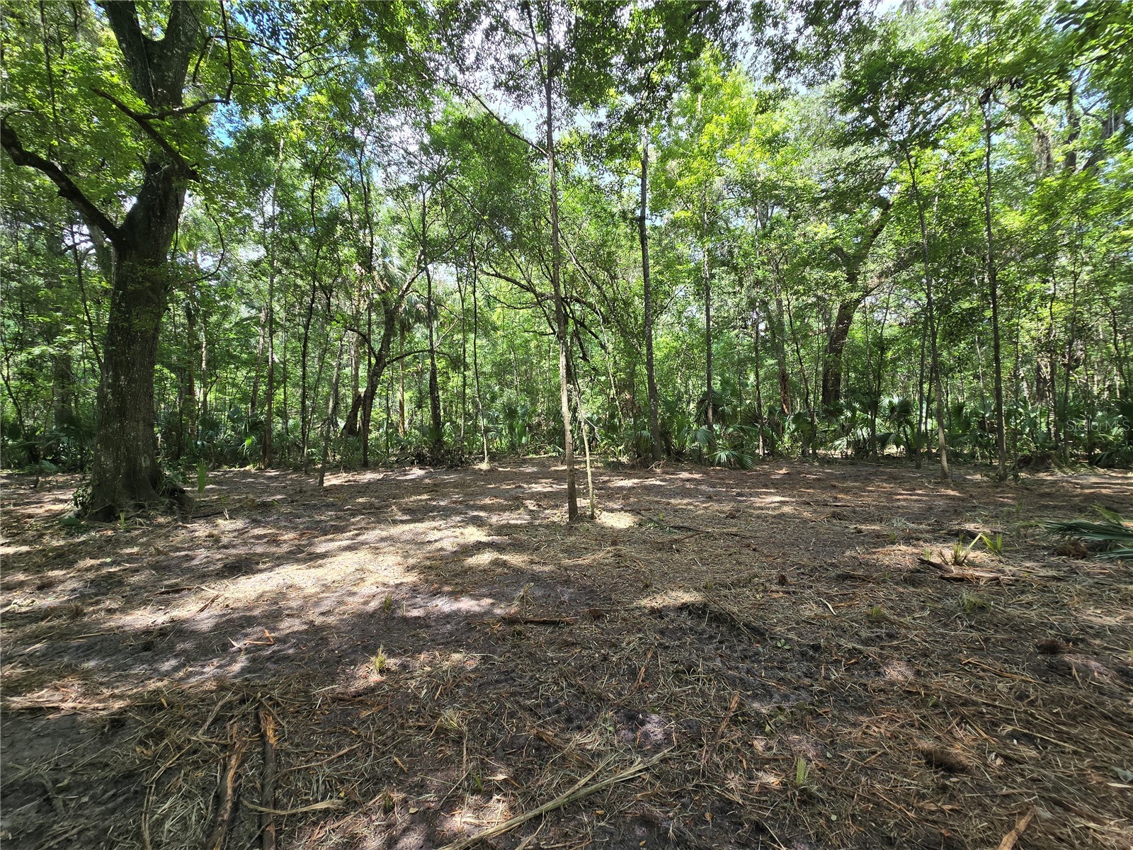 2381 N Junglecamp Road Inverness FL 34453 OM727981 image11