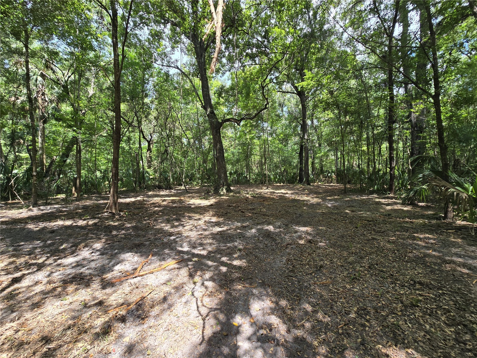 2381 N Junglecamp Road Inverness FL 34453 OM727981 image12