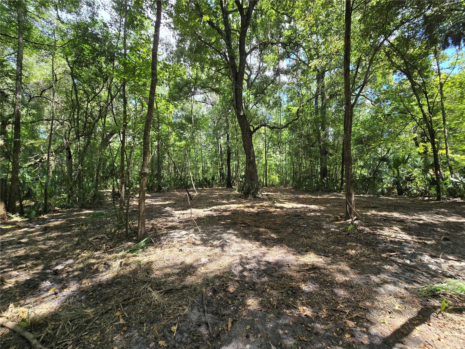 2381 N Junglecamp Road Inverness FL 34453 OM727981 image13