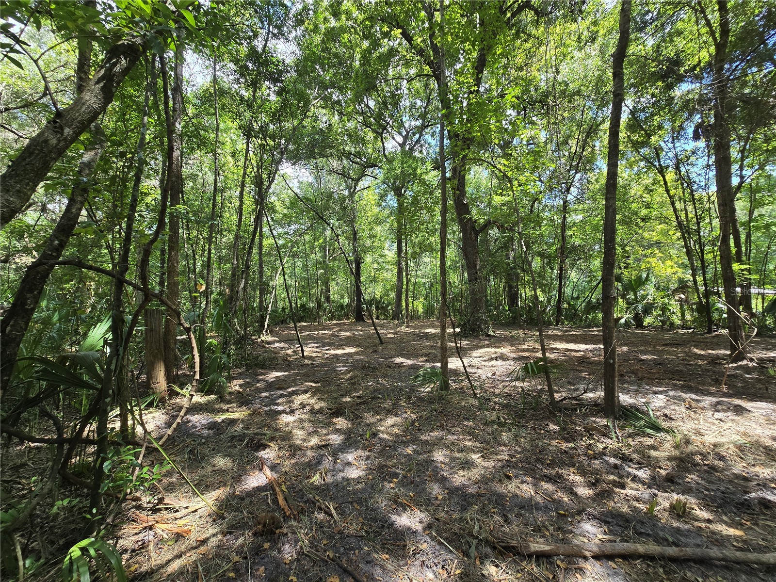 2381 N Junglecamp Road Inverness FL 34453 OM727981 image14