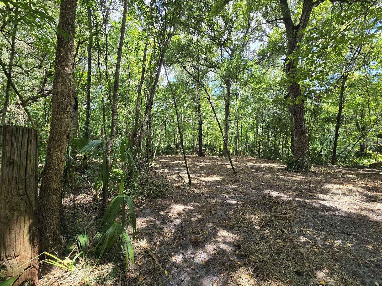 2381 N Junglecamp Road Inverness FL 34453 OM727981 image15