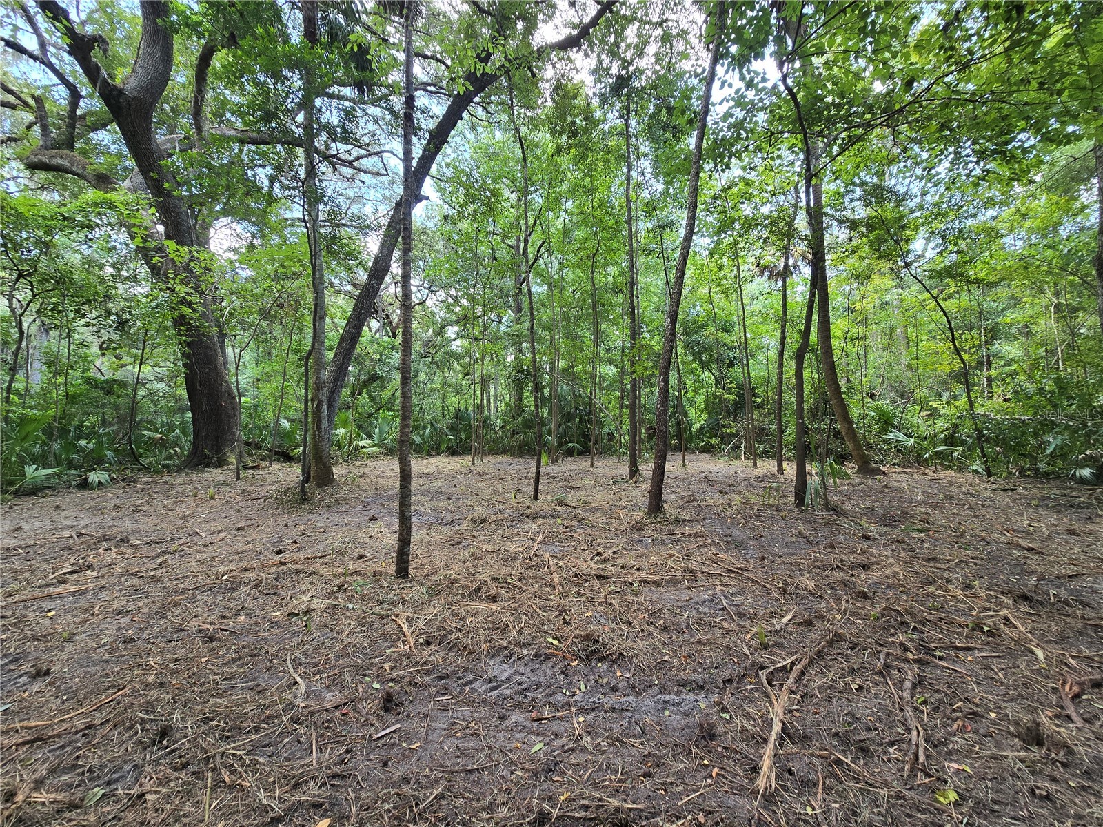 2381 N Junglecamp Road Inverness FL 34453 OM727981 image6