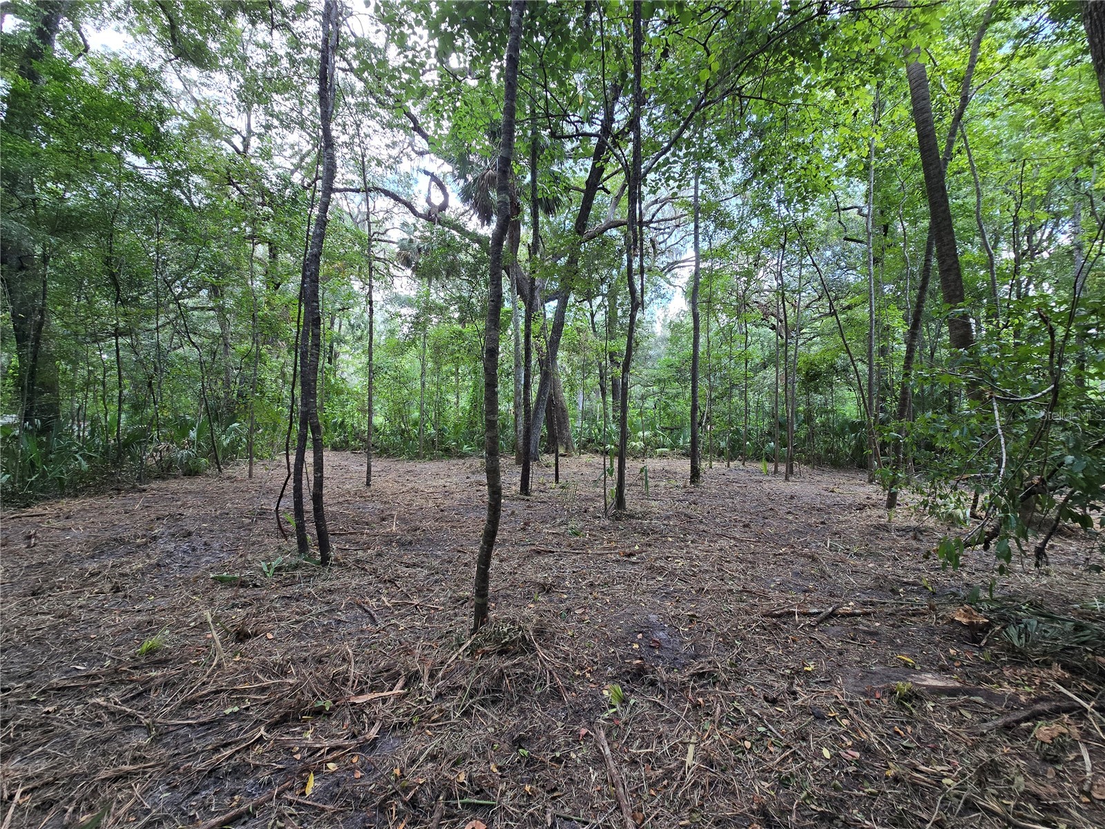 2381 N Junglecamp Road Inverness FL 34453 OM727981 image7