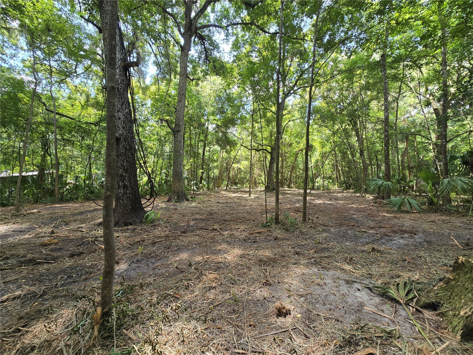 2381 N Junglecamp Road Inverness FL 34453 OM727981 image8