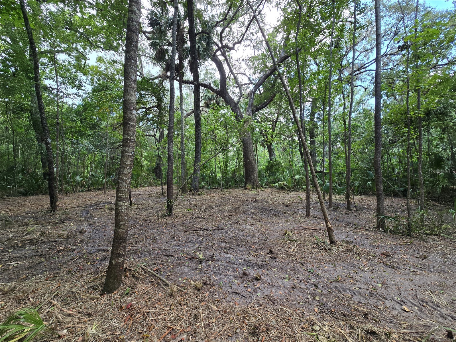 2381 N Junglecamp Road Inverness FL 34453 OM727981 image9