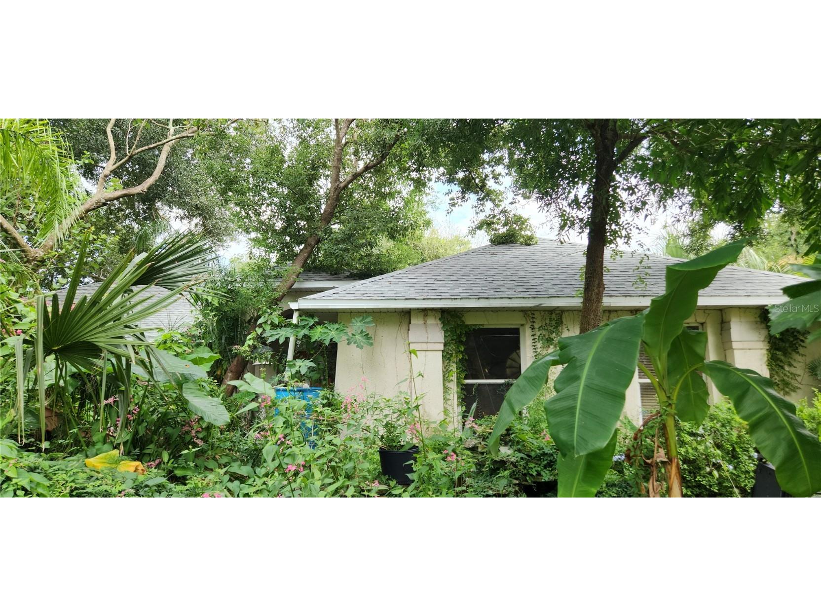 23811 Sunset View Sorrento FL 32776 O6247264 image1