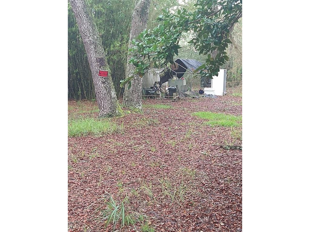 23818 NE 140th Avenue Fort Mc Coy FL 32134 TB8414752 image2