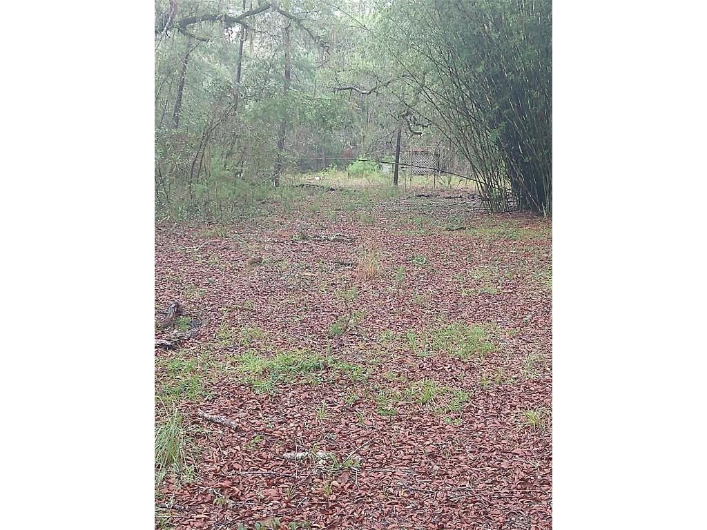 23818 NE 140th Avenue Fort Mc Coy FL 32134 TB8414752 image3