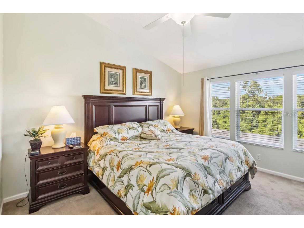 2382 Silver Palm Drive E Kissimmee FL 34747 O6327221 image12