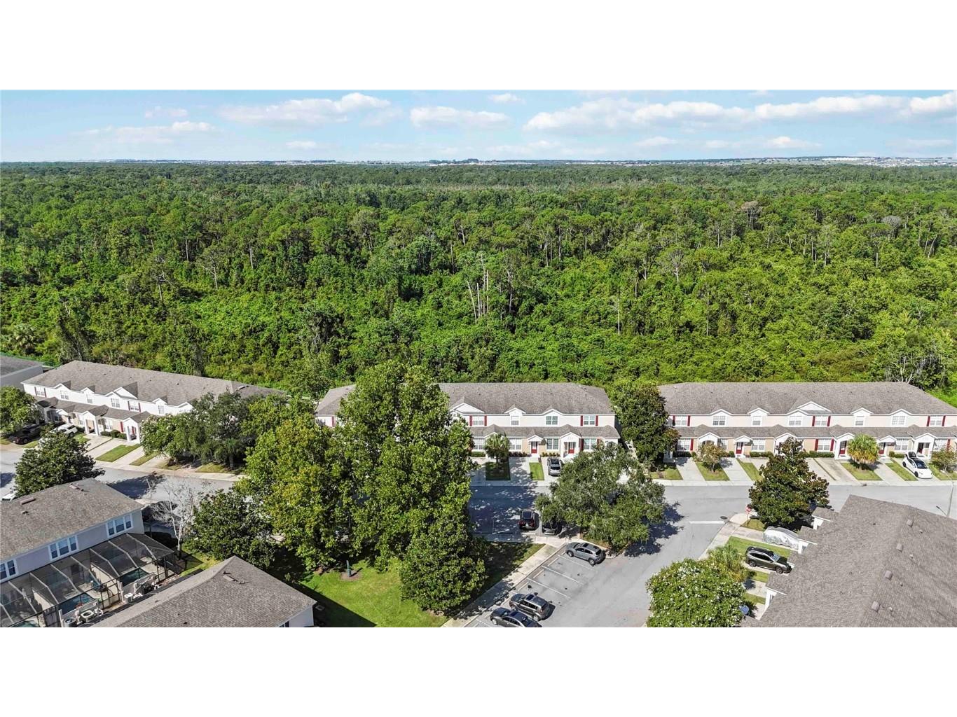 2382 Silver Palm Drive E Kissimmee FL 34747 O6327221 image29