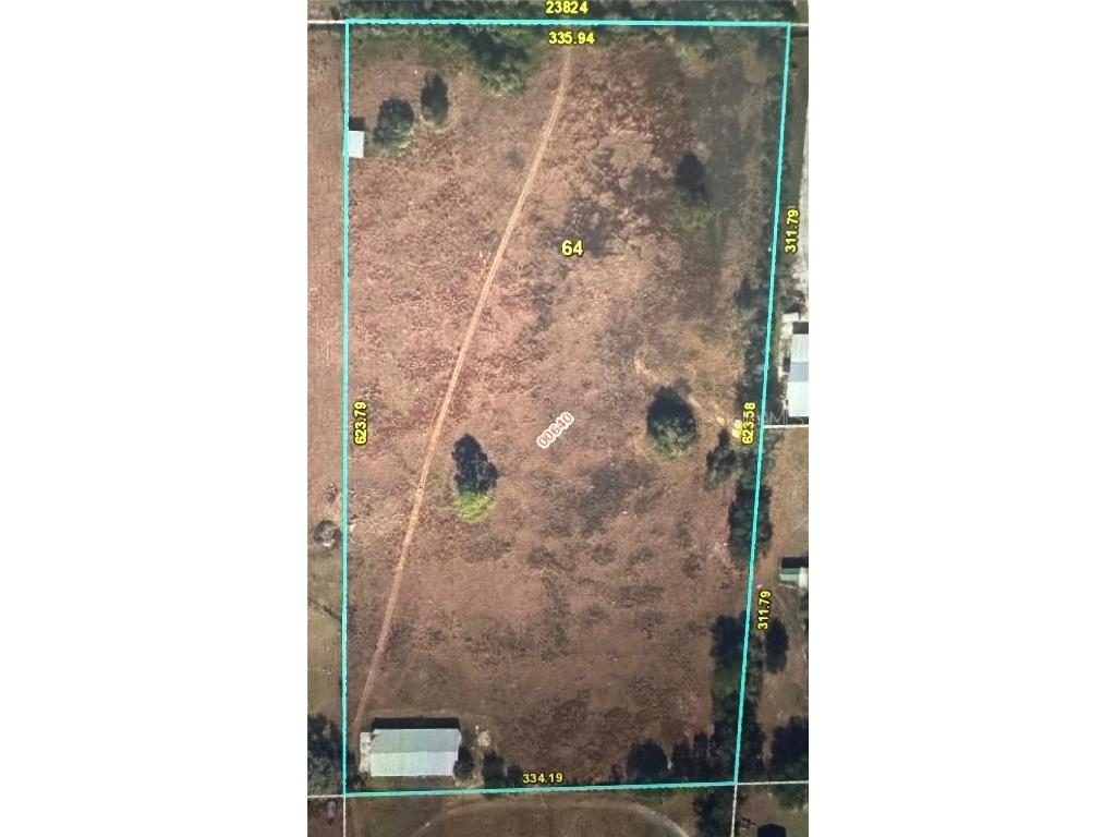 23824 Sisler Avenue Christmas FL 32709 J972267 image1