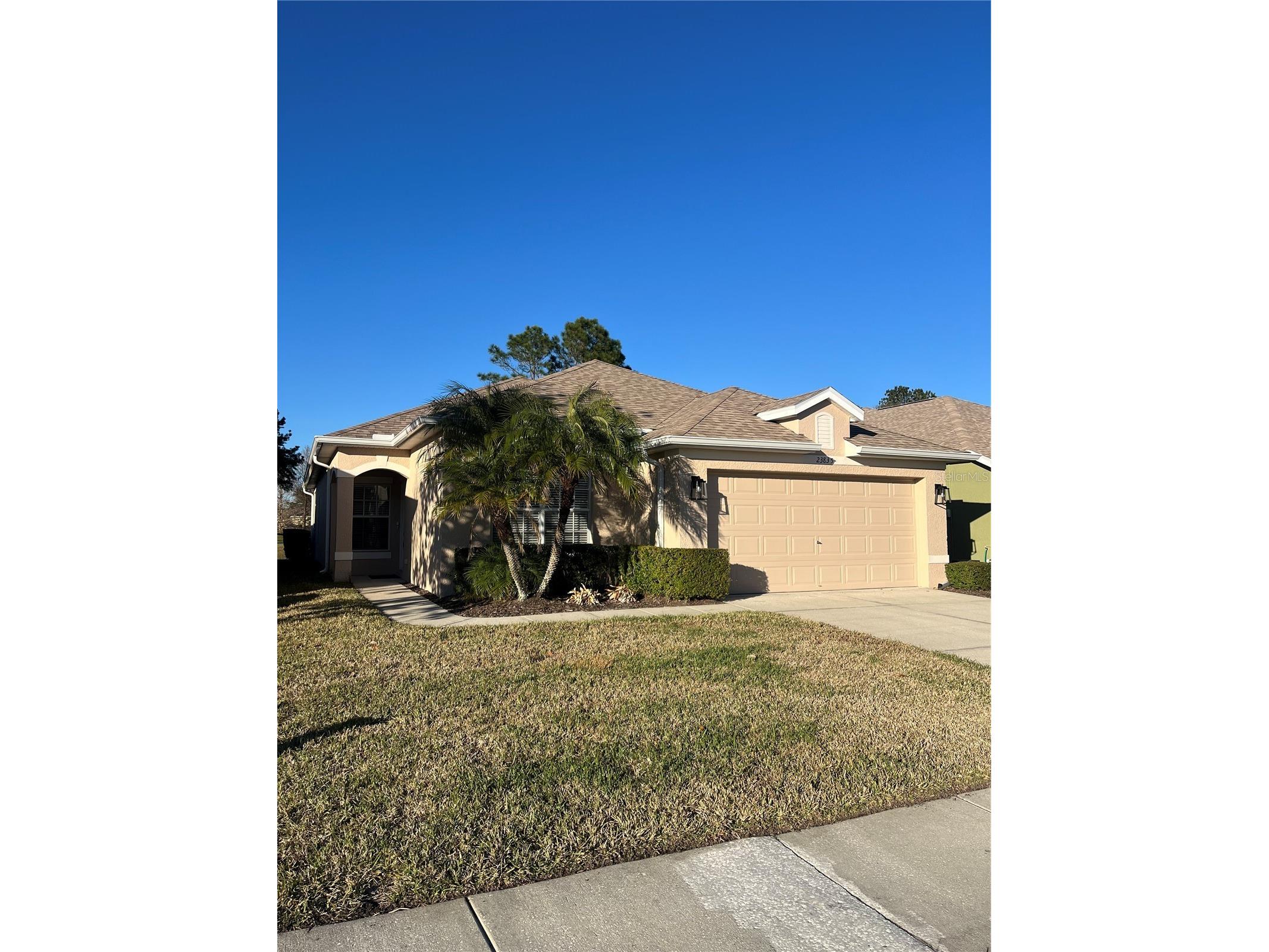 23835 Coral Ridge Lane Land O Lakes FL 34639 TB8466930 image1