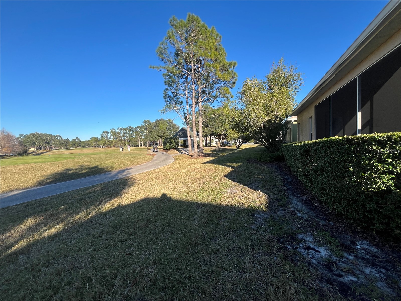 23835 Coral Ridge Lane Land O Lakes FL 34639 TB8466930 image18