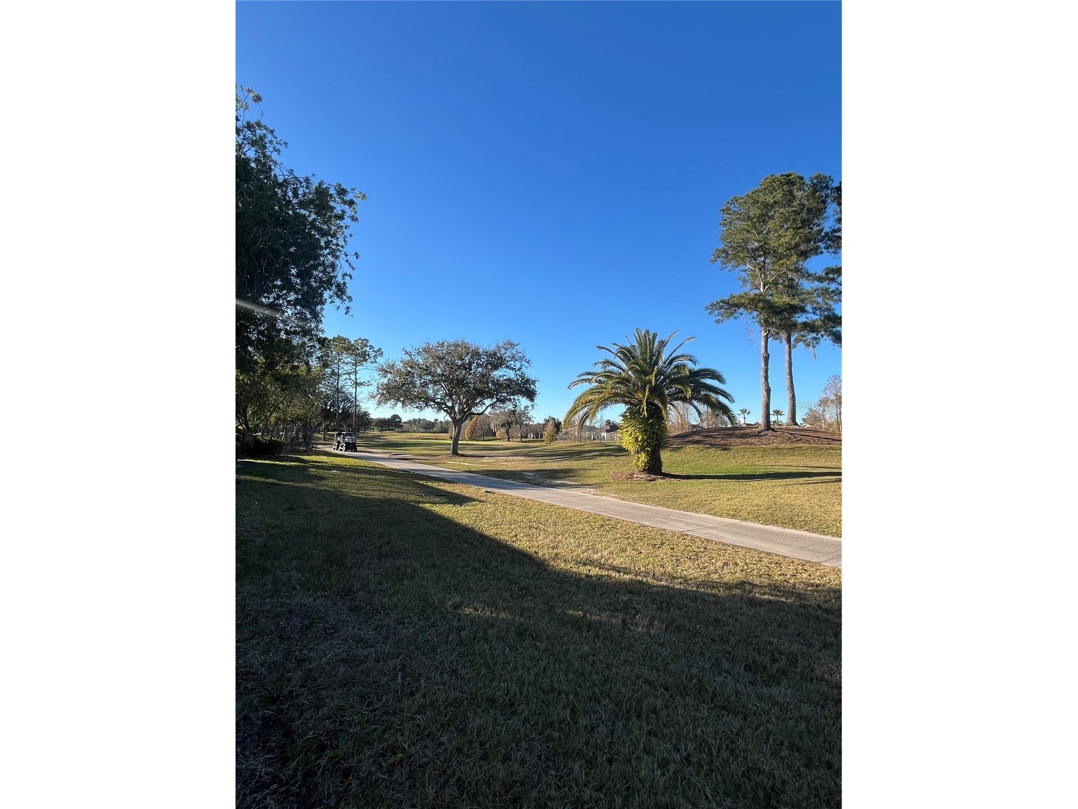 23835 Coral Ridge Lane Land O Lakes FL 34639 TB8466930 image19