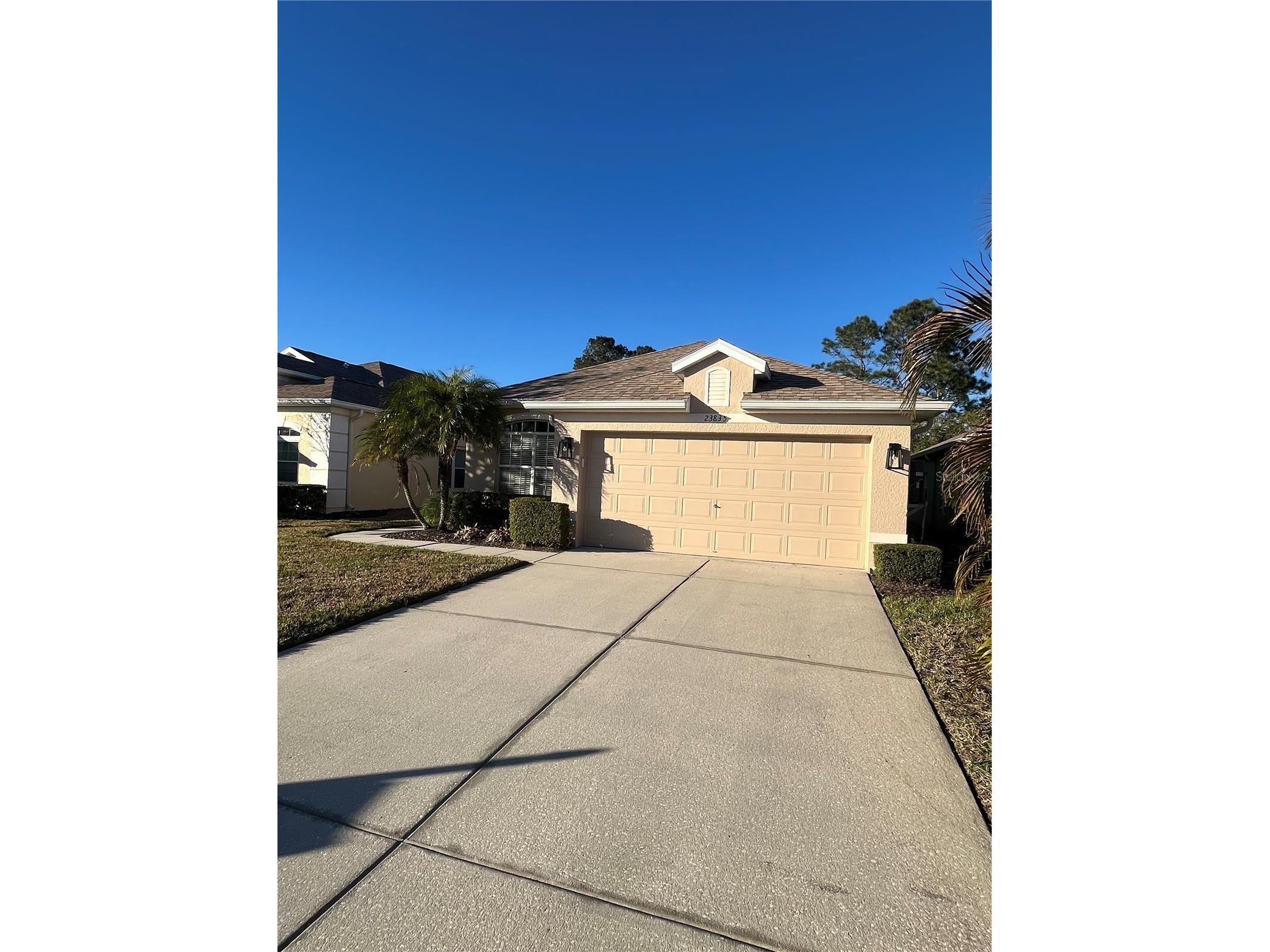 23835 Coral Ridge Lane Land O Lakes FL 34639 TB8466930 image2