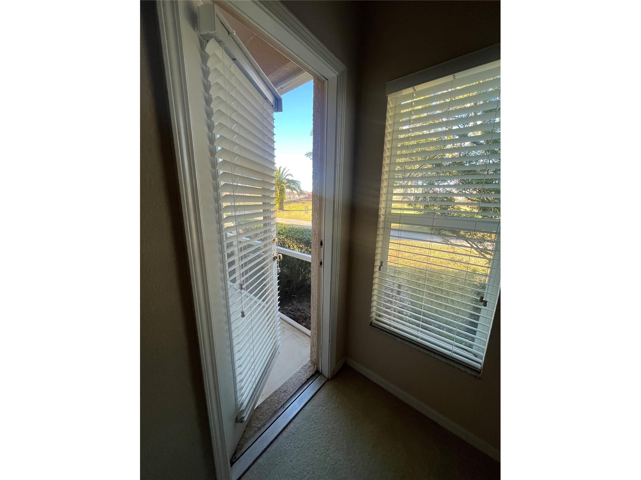 23835 Coral Ridge Lane Land O Lakes FL 34639 TB8466930 image28
