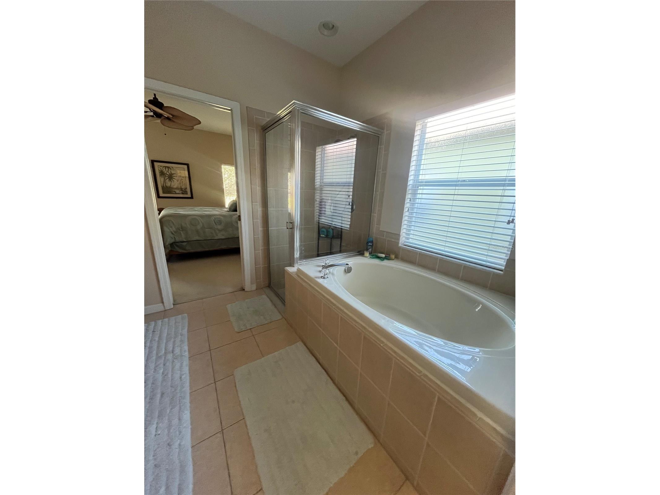 23835 Coral Ridge Lane Land O Lakes FL 34639 TB8466930 image33