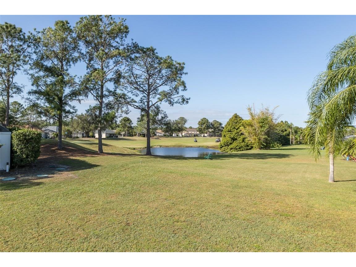23836 Hastings Way Land O Lakes FL 34639 W7879987 image41