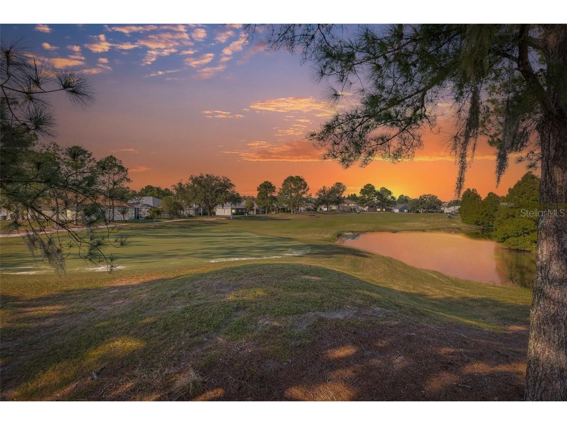 23836 Hastings Way Land O Lakes FL 34639 W7879987 image44